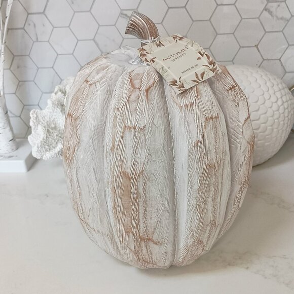 NEW! DISTRESSED BOHO FARMHOUSE 12" PUMPKIN DECOR - Picture 2 of 3
